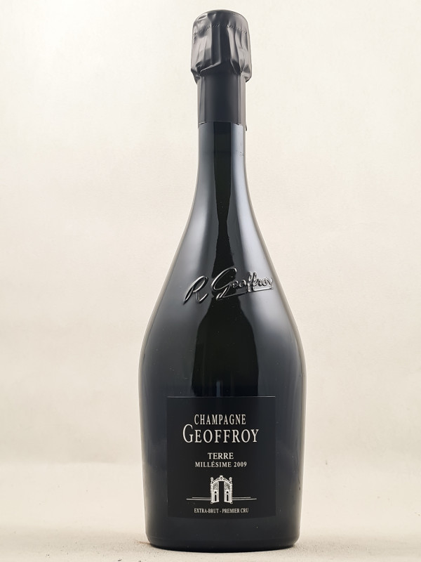 Geoffroy - Champagne "Terre" Extra-Brut 1er Cru 2009