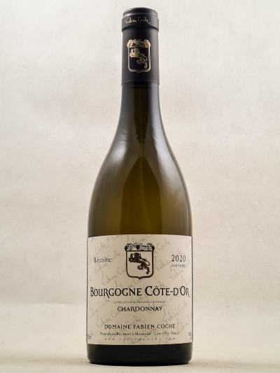 Fabien Coche - Bourgogne Côte d'Or Chardonnay 2020