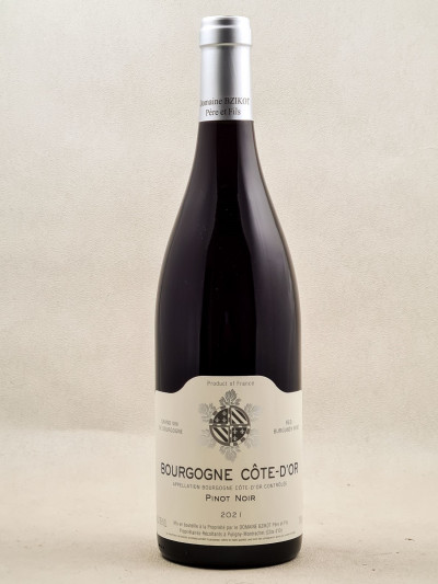 Bzikot - Bourgogne Côte d'Or Pinot Noir 2021