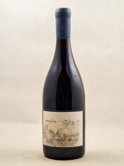 Arnaud Ente - Bourgogne Pinot Noir 2013