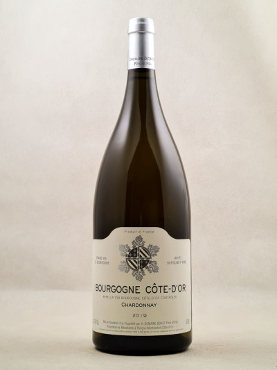 Sylvain Bzikot - Bourgogne Côte d'Or Chardonnay 2019 MAGNUM
