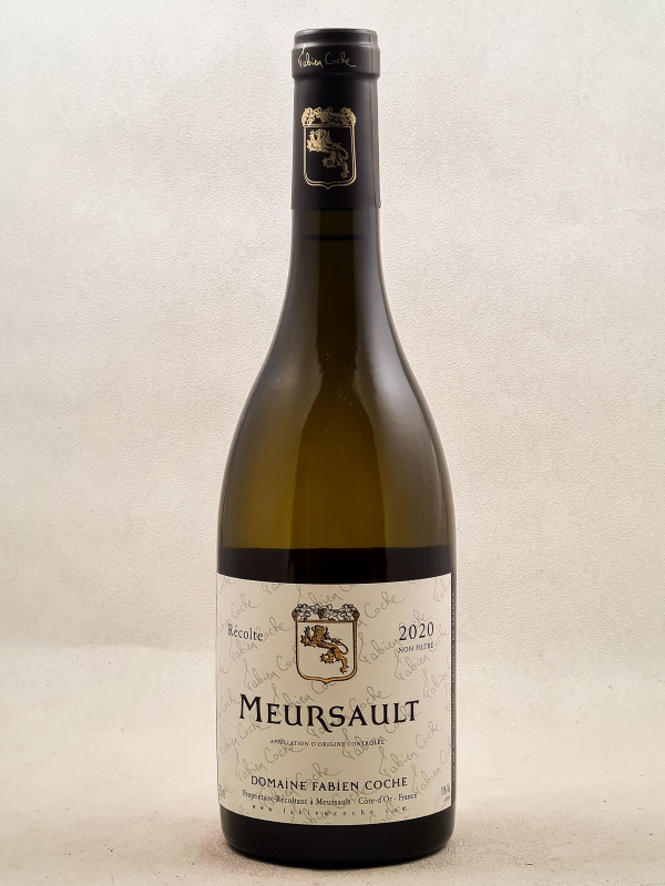 Fabien Coche - Meursault 2020