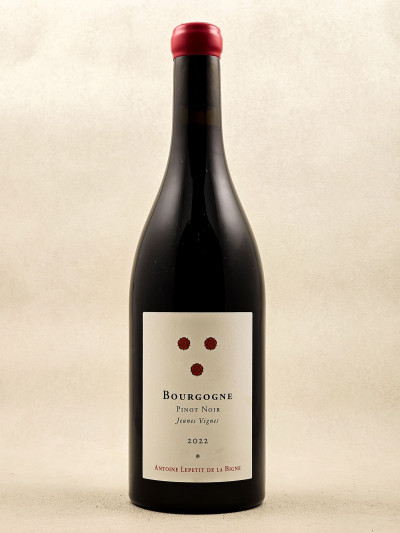 Antoine Lepetit De La Bigne - Bourgogne Pinot Noir "Jeunes Vignes" 2022