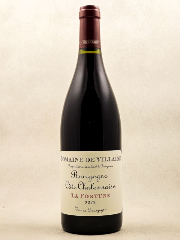 De Villaine - Bouzeron 2022