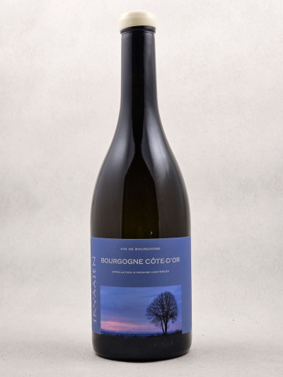 Skyaasen - Bourgogne Aligoté 2022