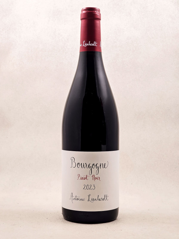Antoine Lienhardt - Bourgogne 2023