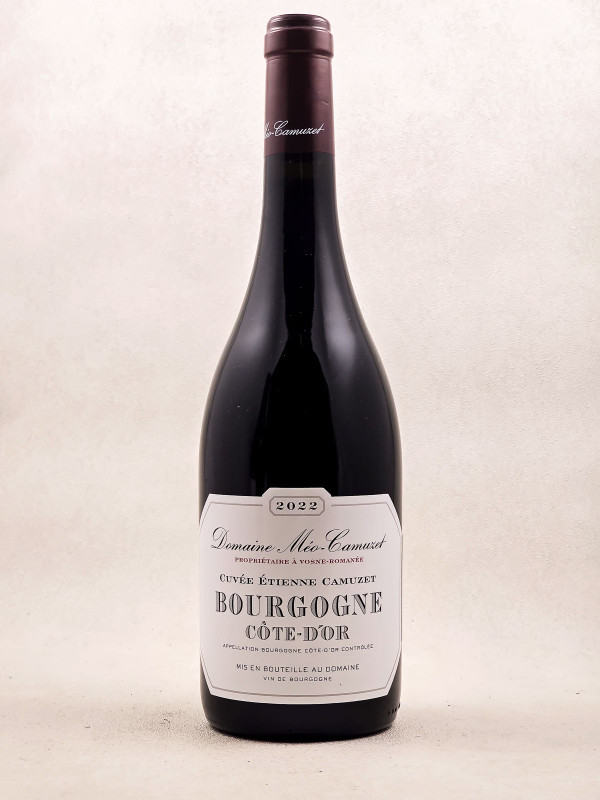 Méo Camuzet - Bourgogne Côte d'Or "Etienne Camuzet" 2022