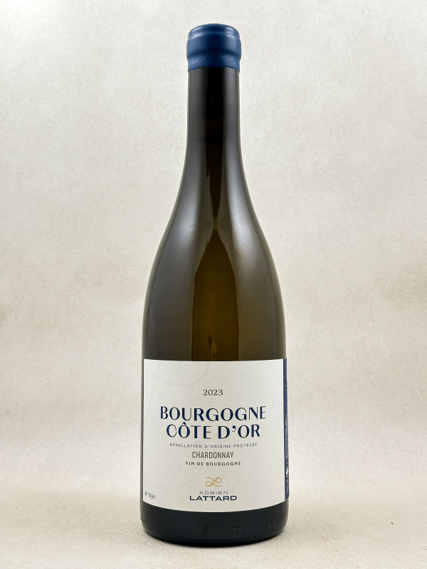 Adrien Lattard - Bourgogne Côte d'Or 2023