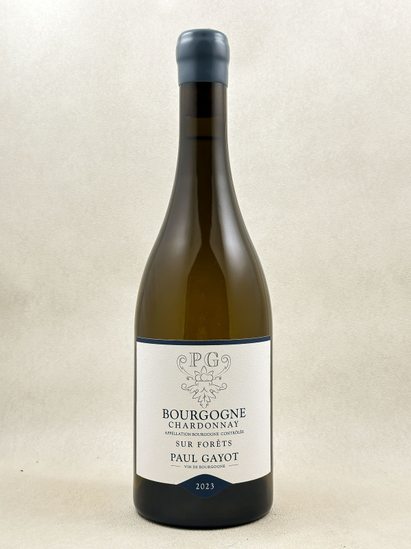 Paul Gayot - Bourgogne Chardonnay "Sur Forêts" 2023