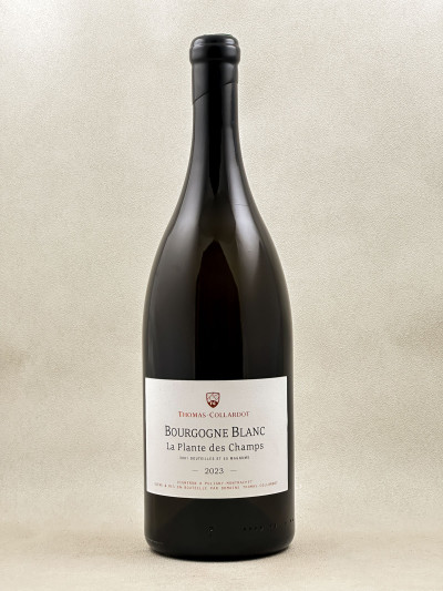Thomas-Collardot - Bourgogne Chardonnay "La Plante des Champs" 2023 MAGNUM