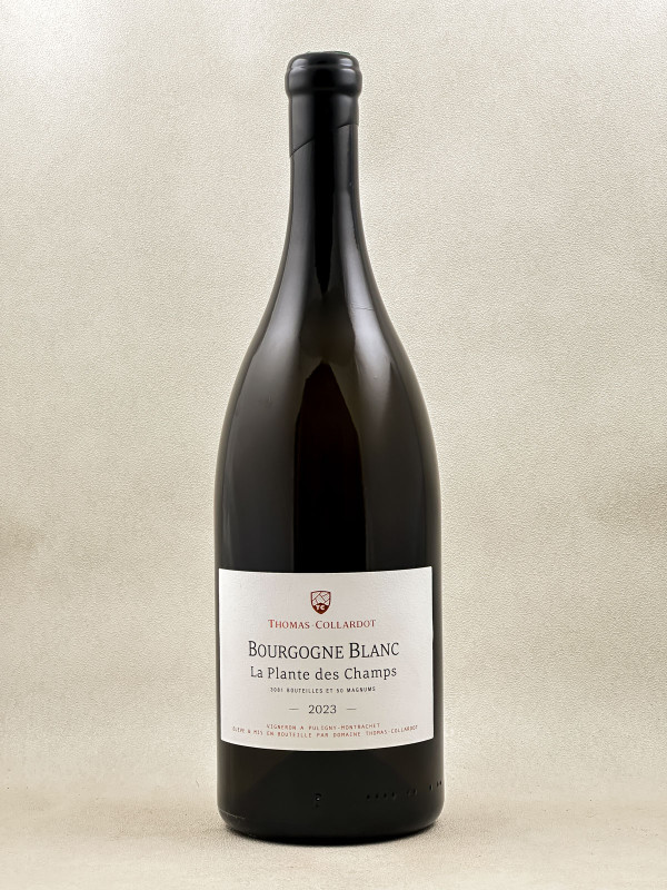 Thomas-Collardot - Bourgogne Chardonnay "La Plante des Champs" 2023 MAGNUM