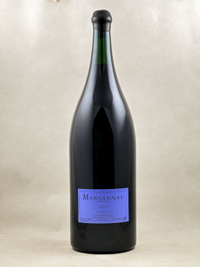 Sylvain Pataille - Marsannay 2023