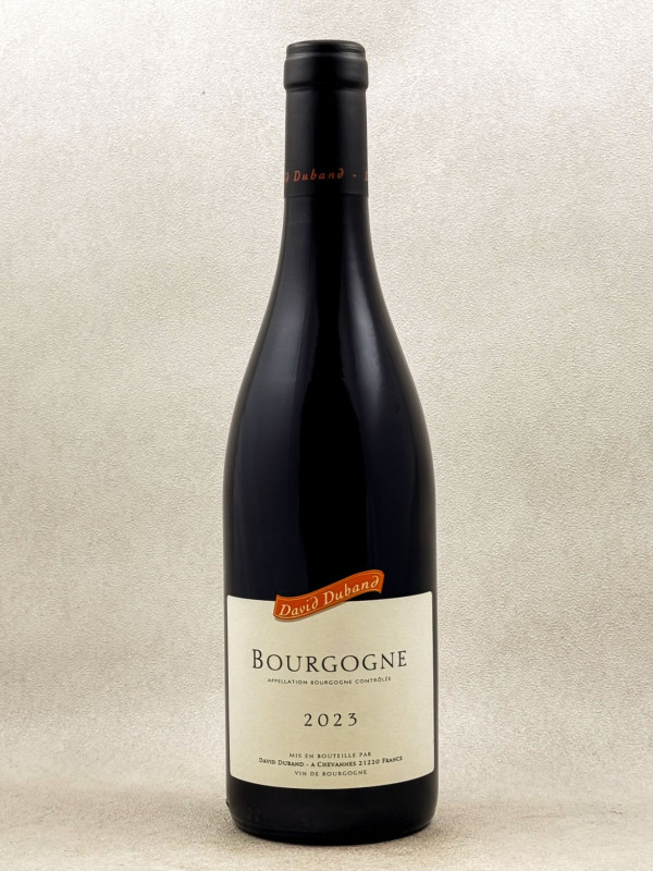 David Duband - Bourgogne 2023