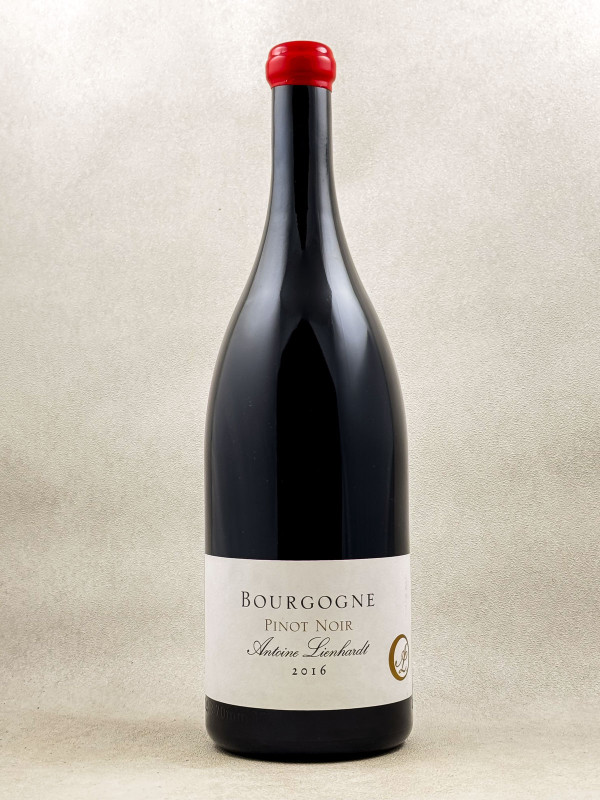 Antoine Lienhardt - Bourgogne 2016 MAGNUM