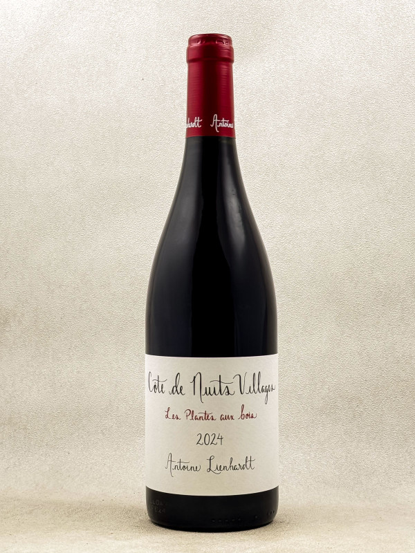 Antoine Lienhardt - Côte de Nuits "Les Plantes aux Bois" 2024