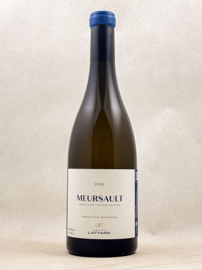 Adrien Lattard - Meursault 2024