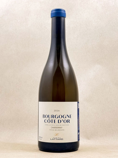 Adrien Lattard - Bourgogne Côte d'Or 2024