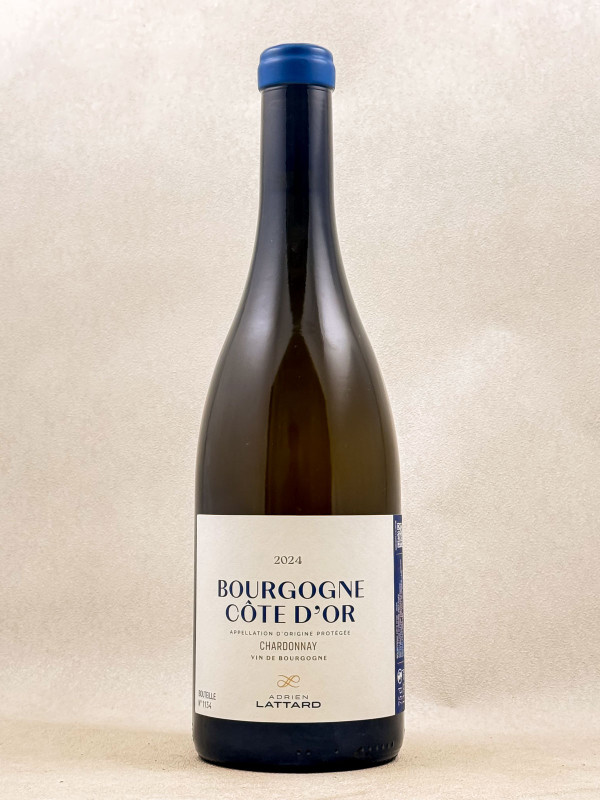 Adrien Lattard - Bourgogne Côte d'Or 2024