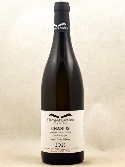 Clément Lavallée - Chablis "Les Ardillers" 2023
