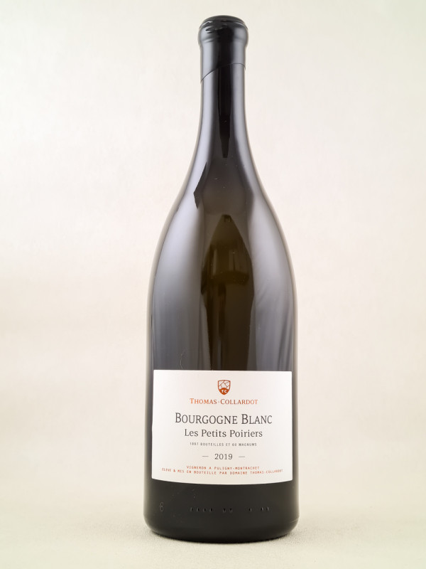 Thomas-Collardot - Bourgogne Blanc 2019 MAGNUM