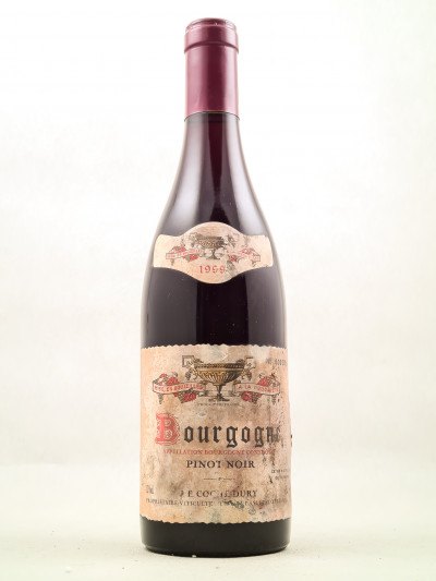 Coche Dury - Bourgogne Pinot Noir 1999